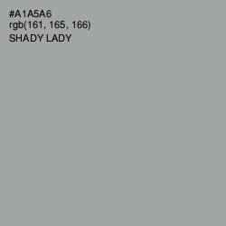 #A1A5A6 - Shady Lady Color Image
