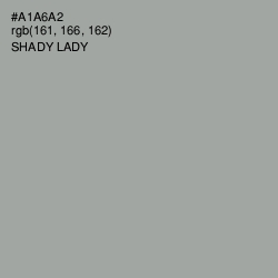 #A1A6A2 - Shady Lady Color Image