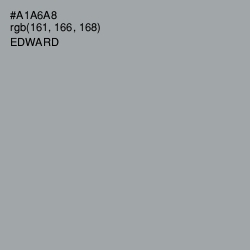 #A1A6A8 - Edward Color Image