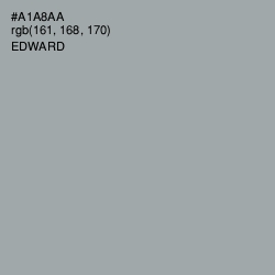 #A1A8AA - Edward Color Image