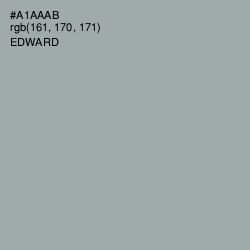 #A1AAAB - Edward Color Image