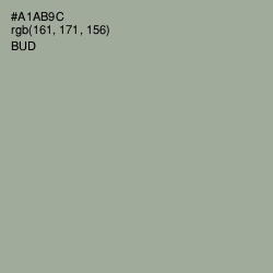 #A1AB9C - Bud Color Image