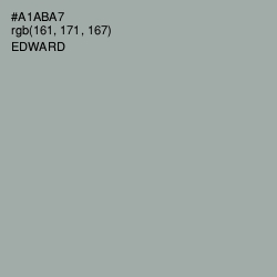 #A1ABA7 - Edward Color Image