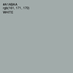 #A1ABAA - Edward Color Image