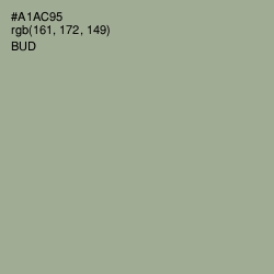 #A1AC95 - Bud Color Image