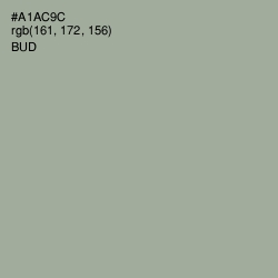 #A1AC9C - Bud Color Image