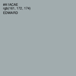 #A1ACAE - Edward Color Image