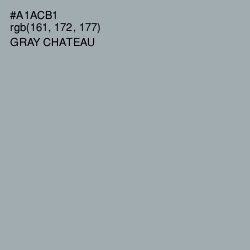 #A1ACB1 - Gray Chateau Color Image