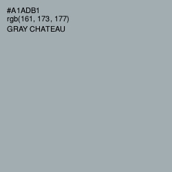 #A1ADB1 - Gray Chateau Color Image