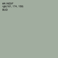 #A1AE9F - Bud Color Image