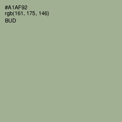 #A1AF92 - Bud Color Image