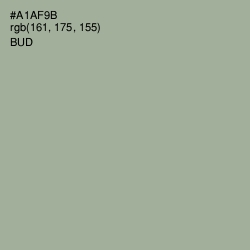 #A1AF9B - Bud Color Image