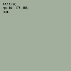 #A1AF9C - Bud Color Image