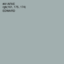 #A1AFAE - Edward Color Image