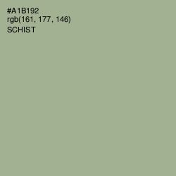 #A1B192 - Schist Color Image