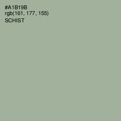 #A1B19B - Schist Color Image