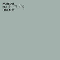 #A1B1AB - Edward Color Image