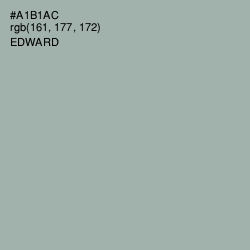 #A1B1AC - Edward Color Image