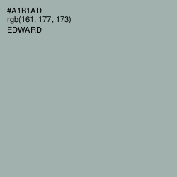 #A1B1AD - Edward Color Image