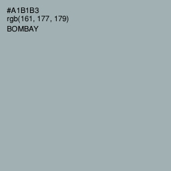 #A1B1B3 - Bombay Color Image