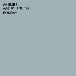#A1B2B6 - Bombay Color Image
