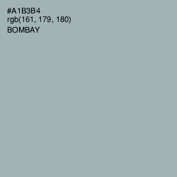 #A1B3B4 - Bombay Color Image