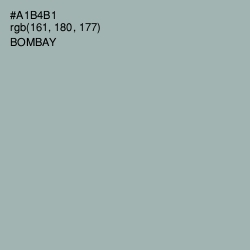 #A1B4B1 - Bombay Color Image