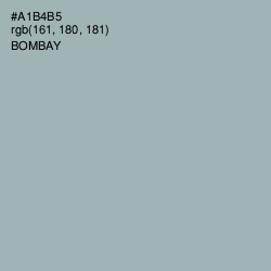 #A1B4B5 - Bombay Color Image