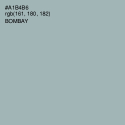 #A1B4B6 - Bombay Color Image