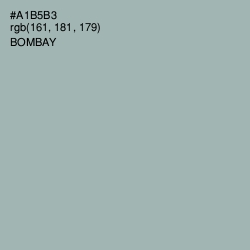 #A1B5B3 - Bombay Color Image