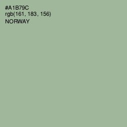 #A1B79C - Norway Color Image