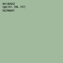 #A1BA9D - Norway Color Image