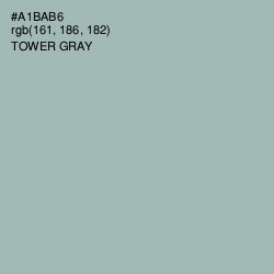 #A1BAB6 - Tower Gray Color Image