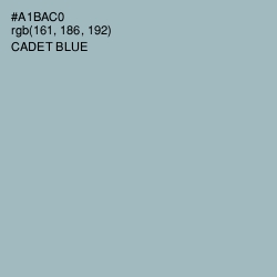 #A1BAC0 - Cadet Blue Color Image