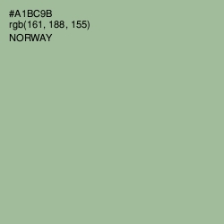 #A1BC9B - Norway Color Image