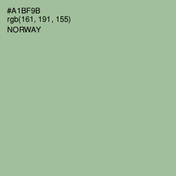 #A1BF9B - Norway Color Image