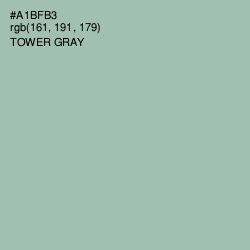 #A1BFB3 - Tower Gray Color Image