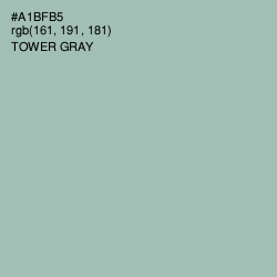 #A1BFB5 - Tower Gray Color Image