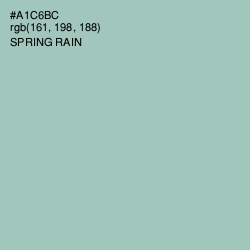 #A1C6BC - Spring Rain Color Image