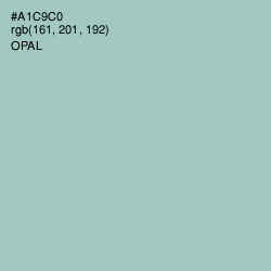 #A1C9C0 - Opal Color Image