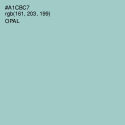 #A1CBC7 - Opal Color Image