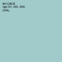 #A1CBCB - Opal Color Image
