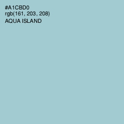 #A1CBD0 - Aqua Island Color Image