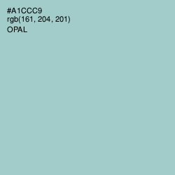 #A1CCC9 - Opal Color Image