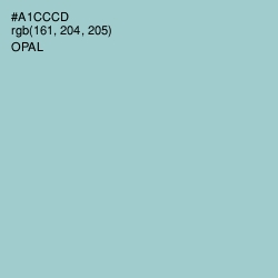 #A1CCCD - Opal Color Image