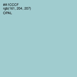 #A1CCCF - Opal Color Image