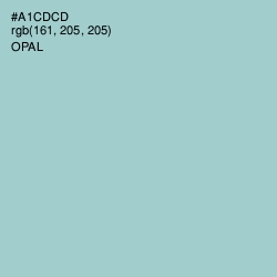 #A1CDCD - Opal Color Image
