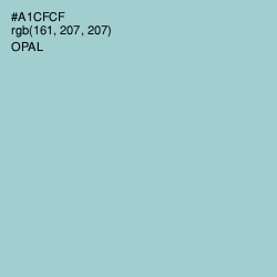 #A1CFCF - Opal Color Image