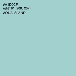 #A1D0CF - Aqua Island Color Image