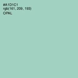 #A1D1C1 - Opal Color Image